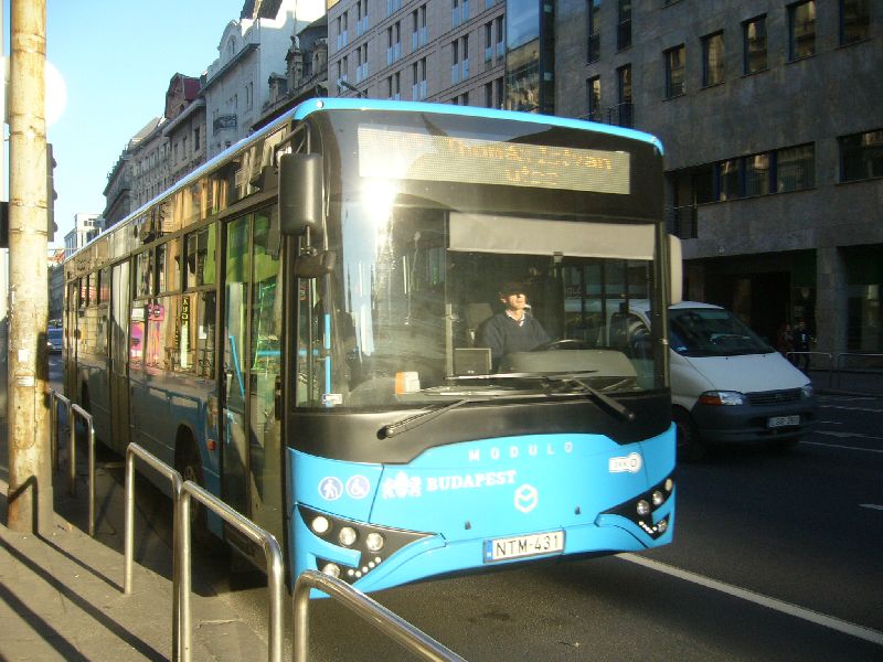 NTM431-P1610893.JPG