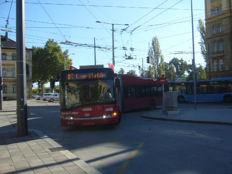 9004-P1610859.JPG