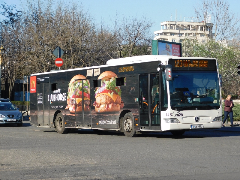 6268-123-DSCN4090.JPG
