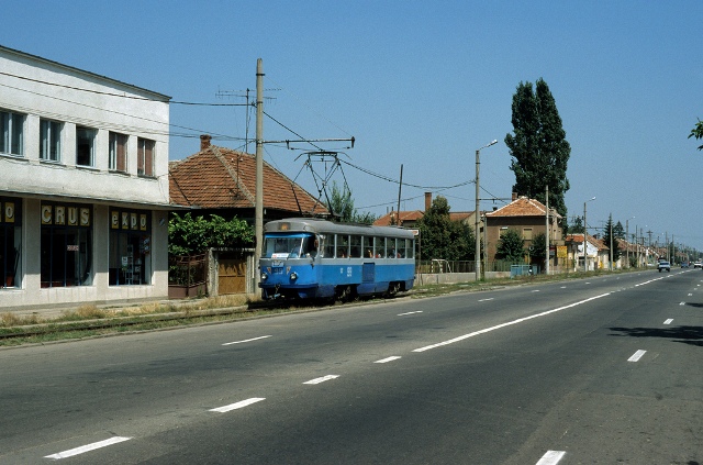99.jpg