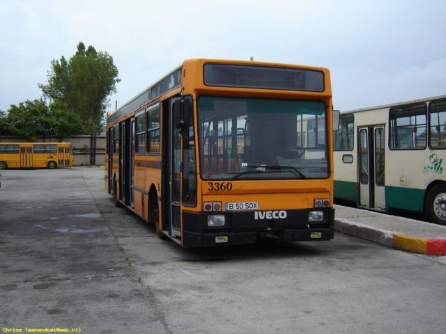 RF_DSC01163.jpg