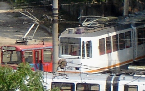 RF_DSC05697.JPG