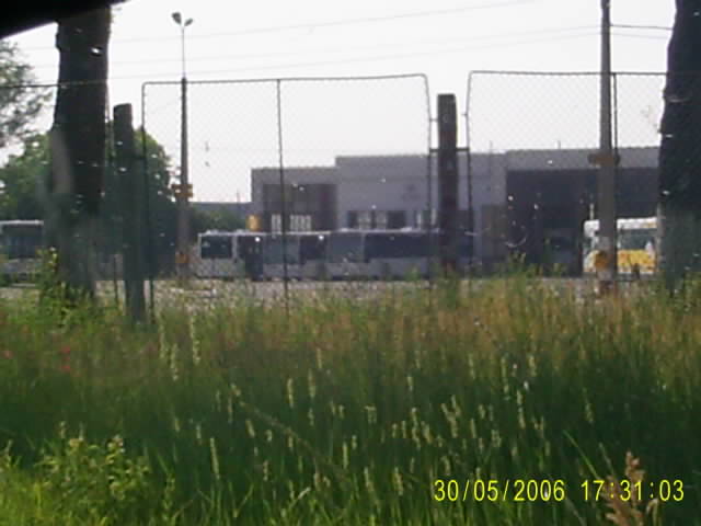 RF_S4021487.JPG