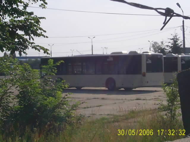 RF_S4021488.JPG