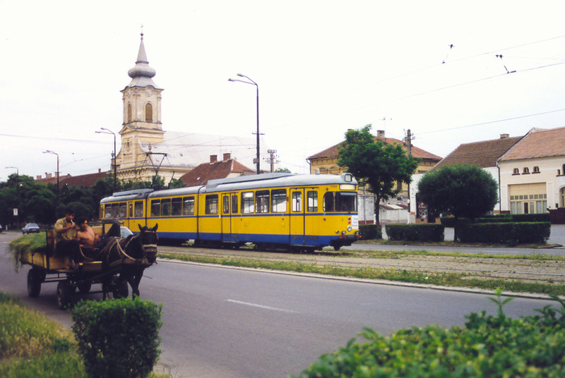 arad (3).jpg