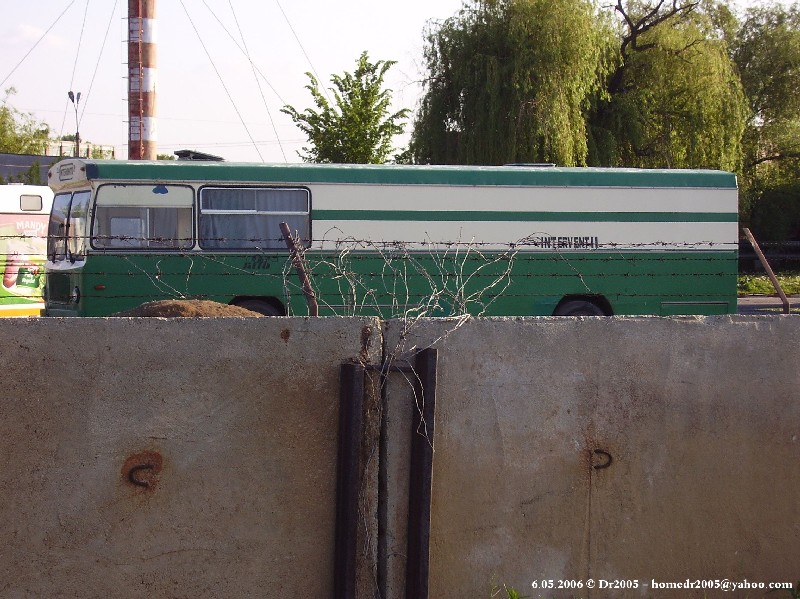 autobazapipera_001_546.jpg