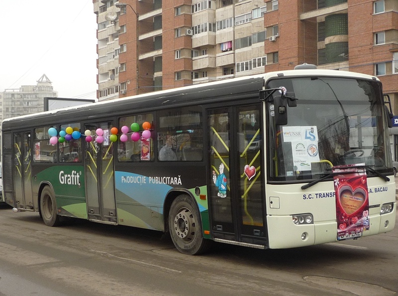 Autobuzul dragostei 2.JPG
