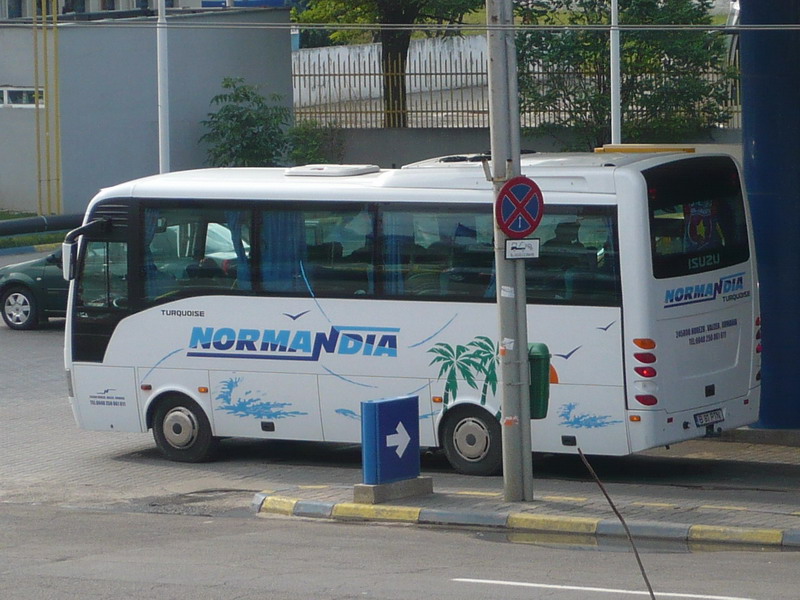 B 81 PTN.jpg