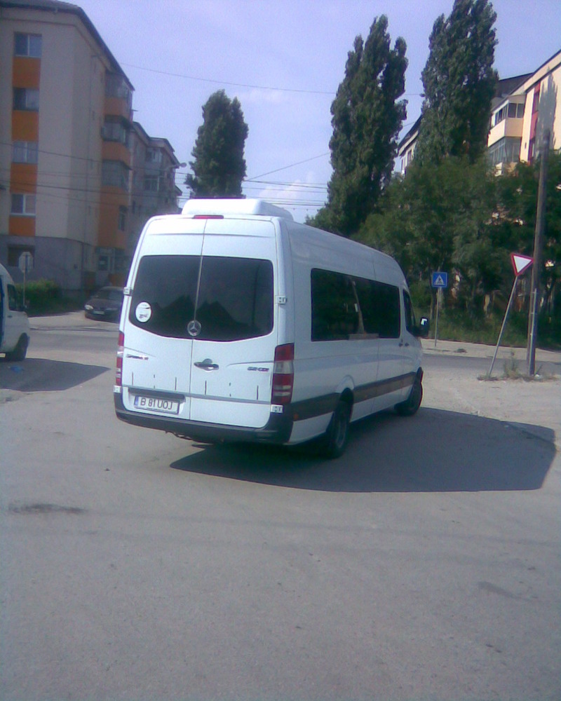b_81_uoj.jpg