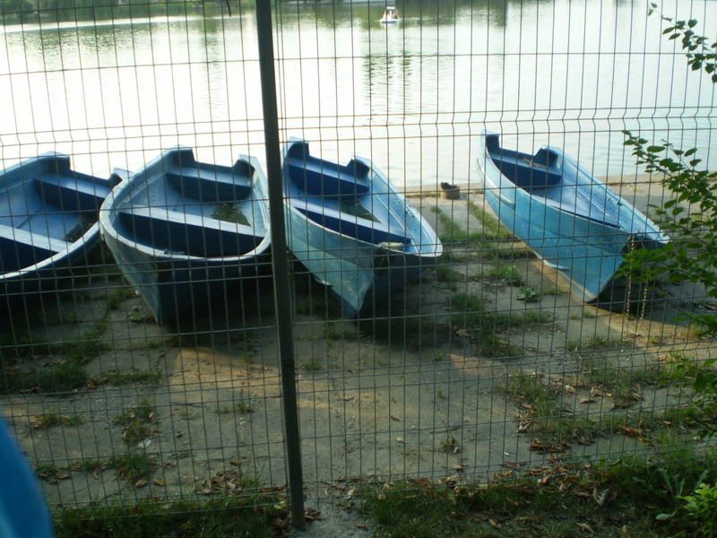 BARCI LA DEBARCADER.jpg