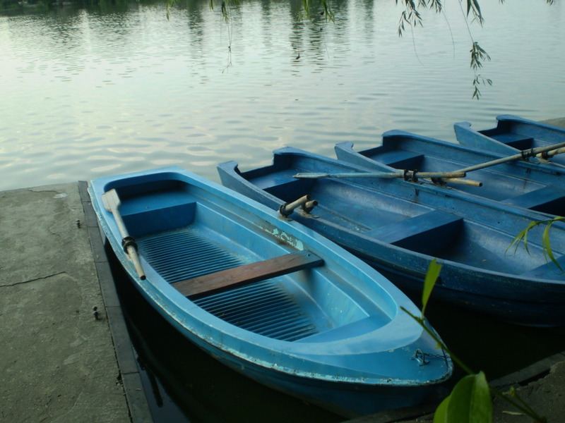 BARCI PE TEI 19 AUGUST 2010.jpg