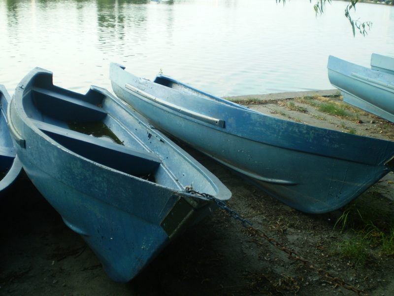 BARCUTE PE TEI 19 AUGUST 2010.jpg