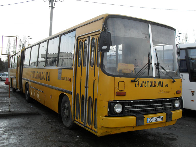 BC09TRM.jpg