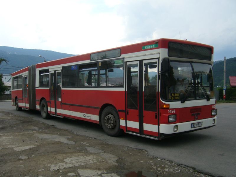 BC12PTS-P1390876.jpg