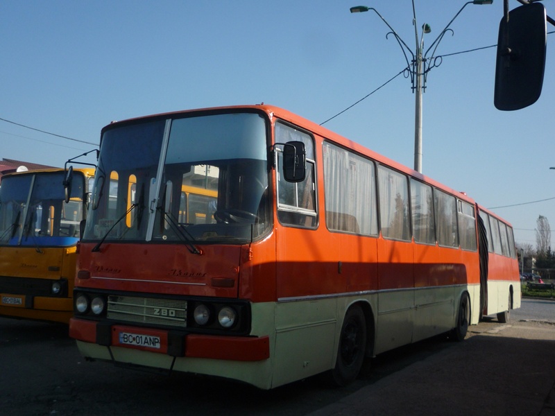 BC 01 ANP-1.JPG