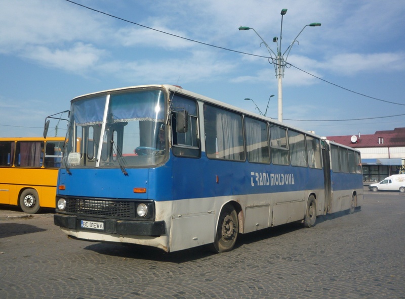 BC 01 EWA-3.JPG