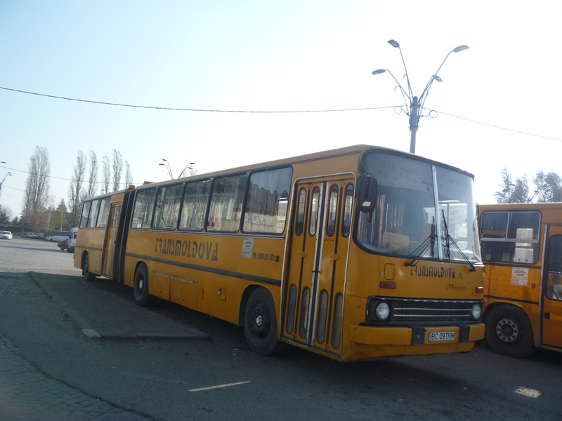 BC 09 TRM-7.JPG