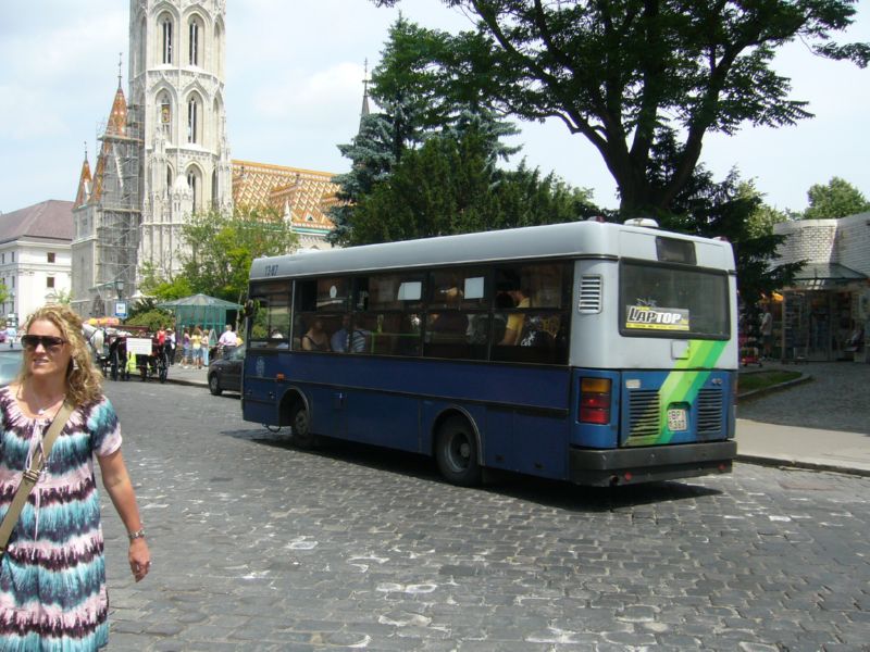 BPI-387-P1380256.jpg