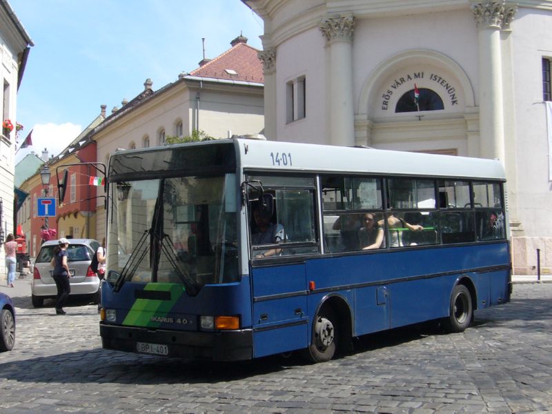 BPI-401-P1380393.jpg