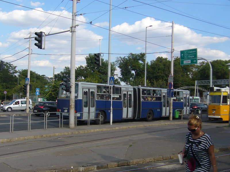 BPI-843-P1480463.JPG