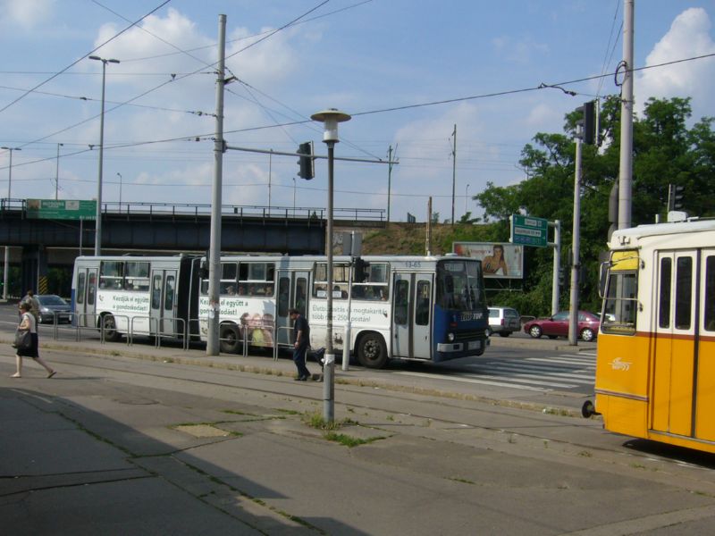 BPI-965-P1370818.jpg