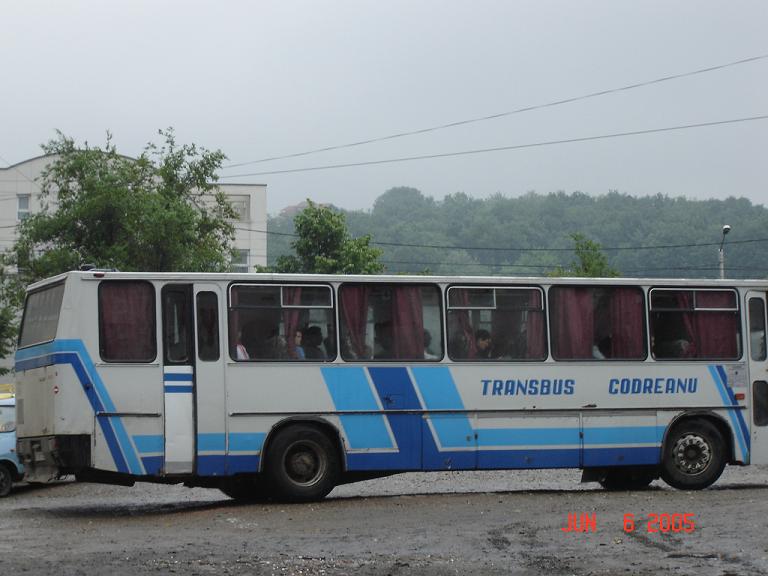 bt_09_tcd........_556.jpg