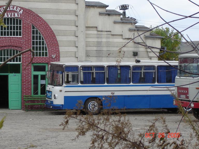 bt_49_myr..._176.jpg