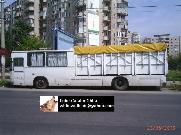 BUS-0164.jpg