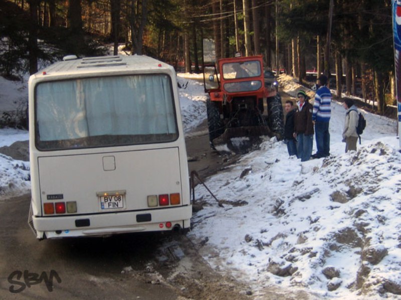 bv-8.jpg