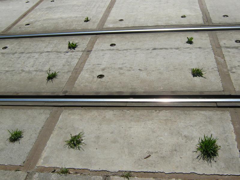 Captured 2009-4-4 00025.JPG