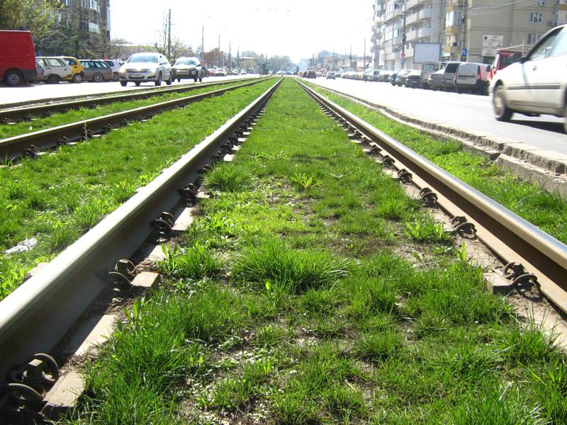 Captured 2009-4-4 00030.JPG