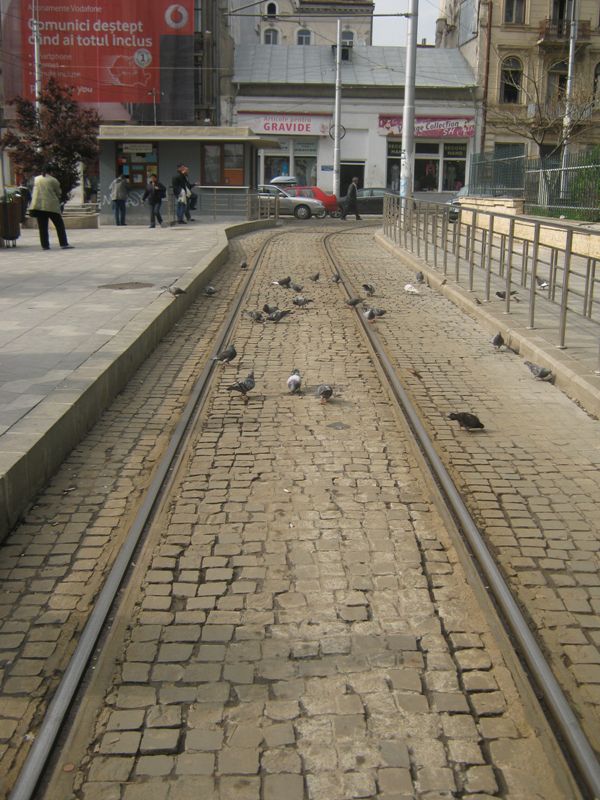 Captured 2011-5-4 001.jpg