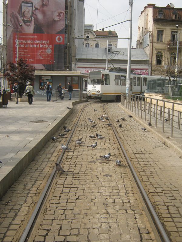 Captured 2011-5-4 004.jpg