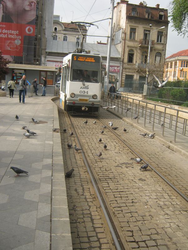 Captured 2011-5-4 005.jpg
