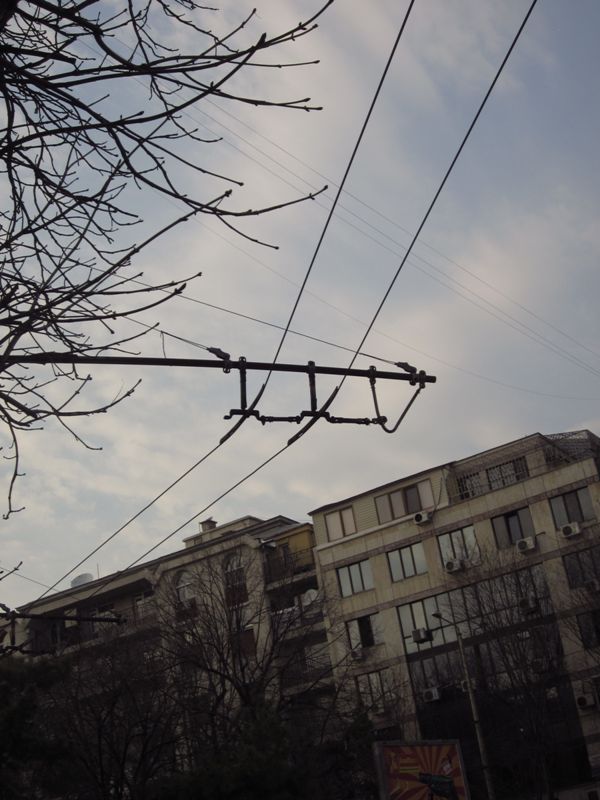 Captured 2012-3-24 008.jpg