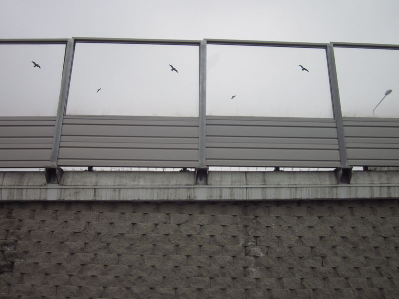 Captured 2013-2-20 061.jpg