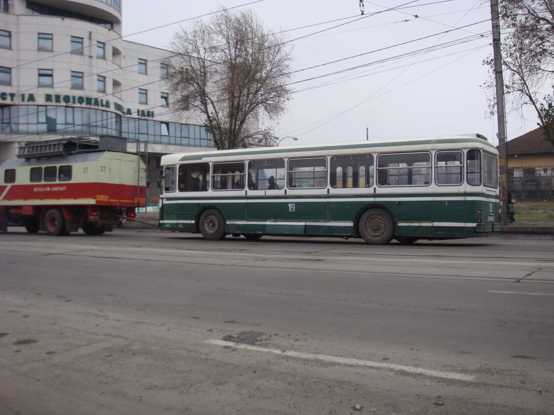 Copy of DSC00450.jpg