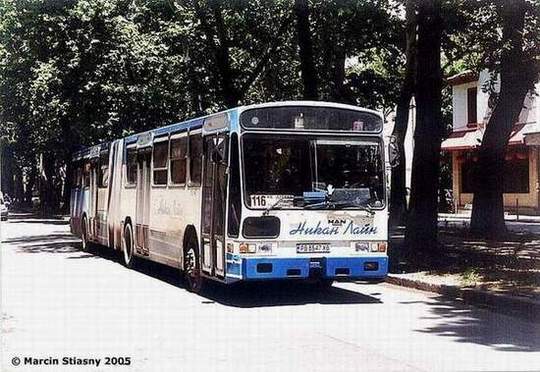 de Simon articulat01.JPG