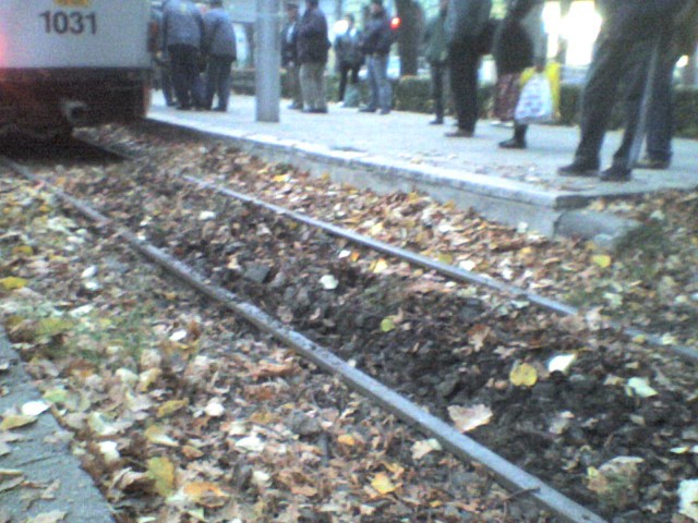 DSC00007.jpg