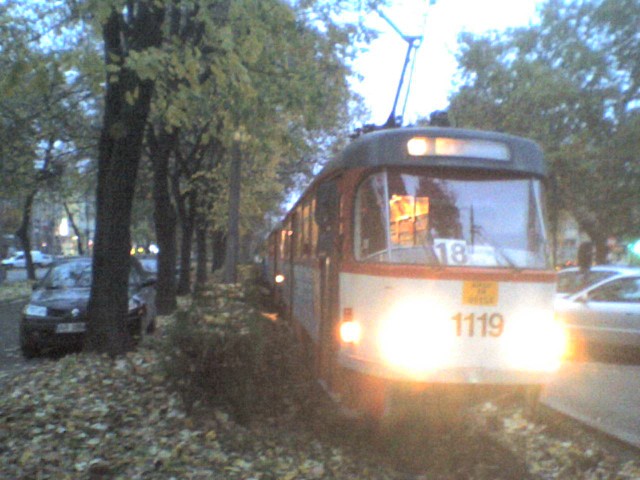 DSC00015.jpg