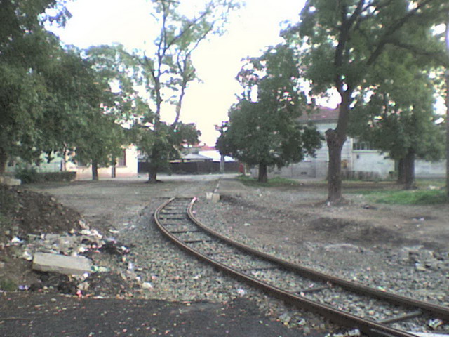 DSC00044.jpg