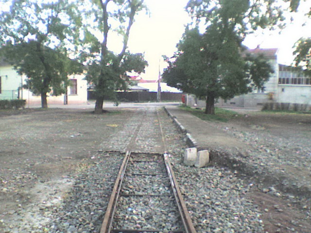 DSC00047.jpg