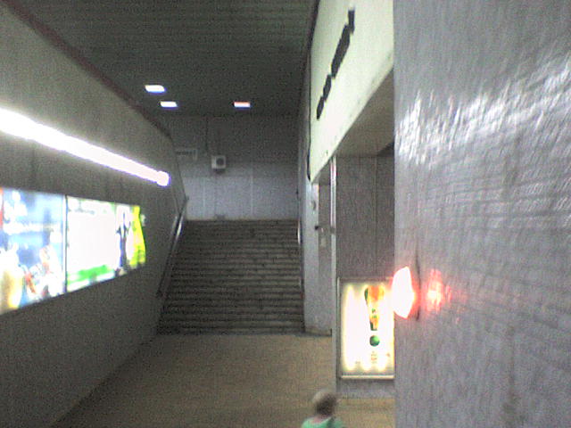 DSC00096.JPG