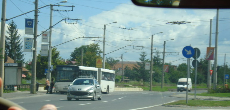 DSC00530.jpg