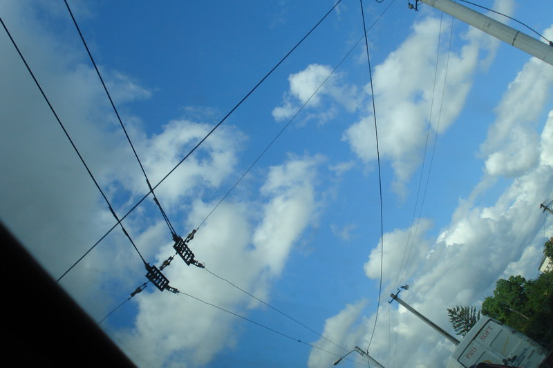 DSC00533.jpg