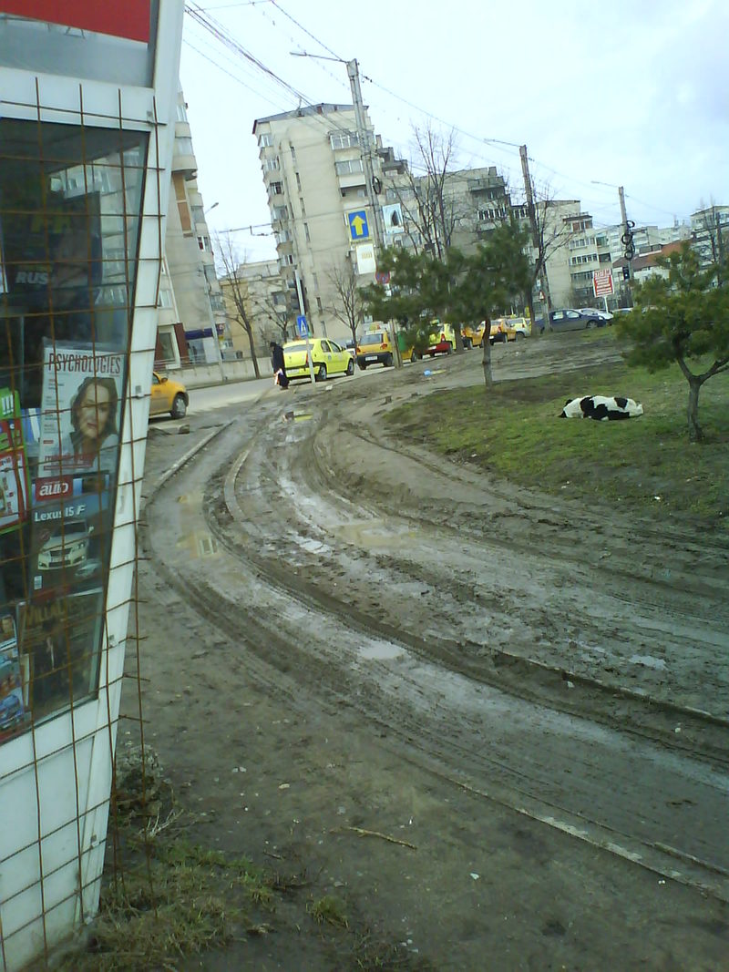 DSC00981.JPG