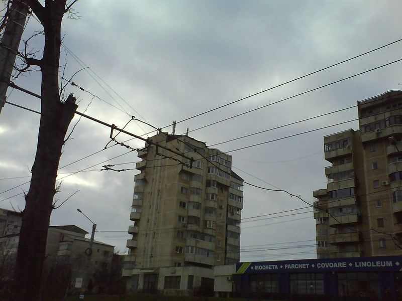 DSC00985.JPG