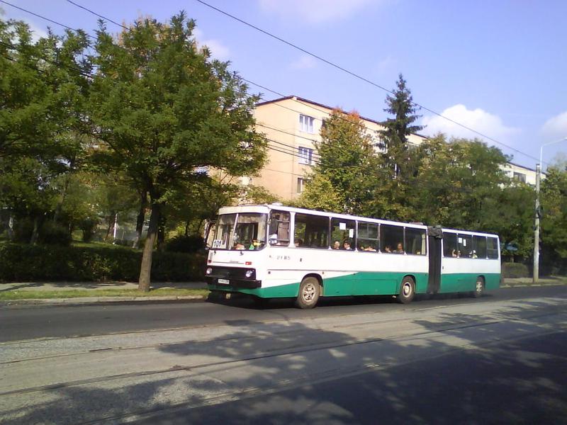DSC01726g.JPG