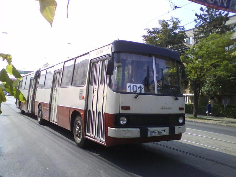 DSC01728f.JPG