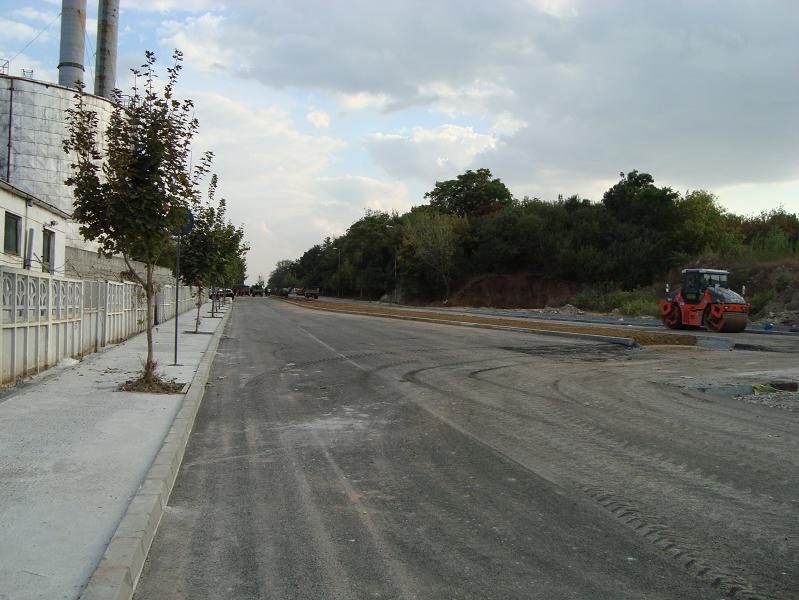 DSC01746.jpg